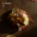 25_la feuille_B.jpg