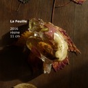 25_la feuille.jpg