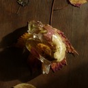 Feuilles.jpg