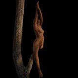 16_book la branche g.jpg