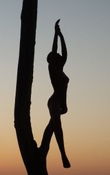 La branche 2.JPG