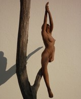 La branche 3_2.JPG