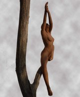 La branche 3.jpg