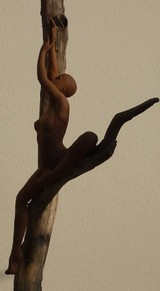 La branche 4.JPG