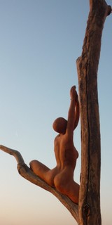 La branche 6.JPG