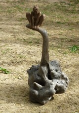 P1050415 - Copie.JPG