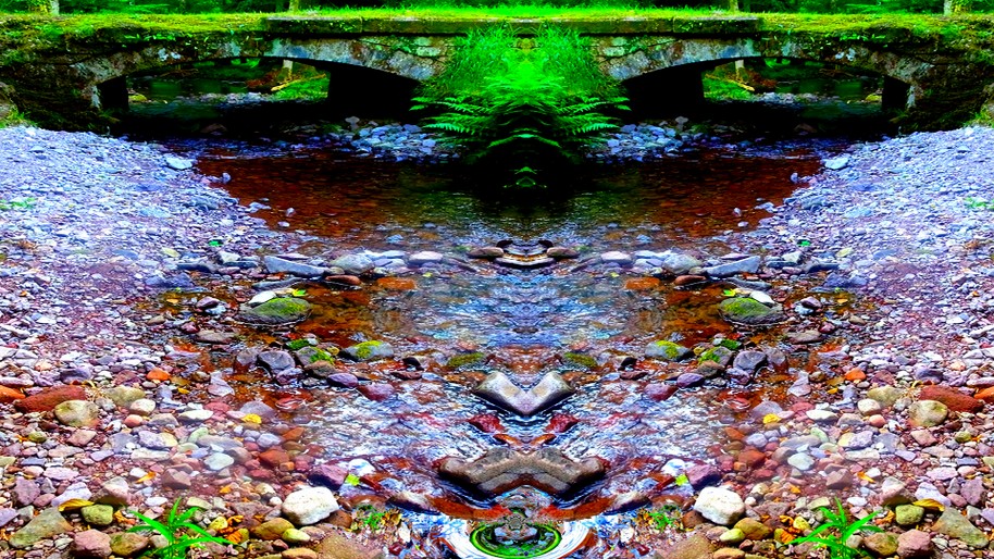 DSC03719a.jpg