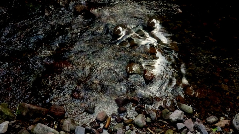 DSC03725.jpg