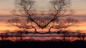 21_EPIS_009.jpg