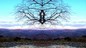 21_EPIS_017.jpg