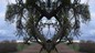 21_EPIS_018.jpg