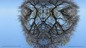 21_EPIS_020.jpg