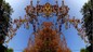 21_EPIS_027.jpg