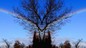 21_EPIS_028.jpg