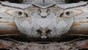 21_VISA_006.jpg