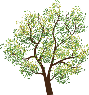 480_PNG3490.png