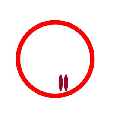 ICON-FIL-RED_12.jpg